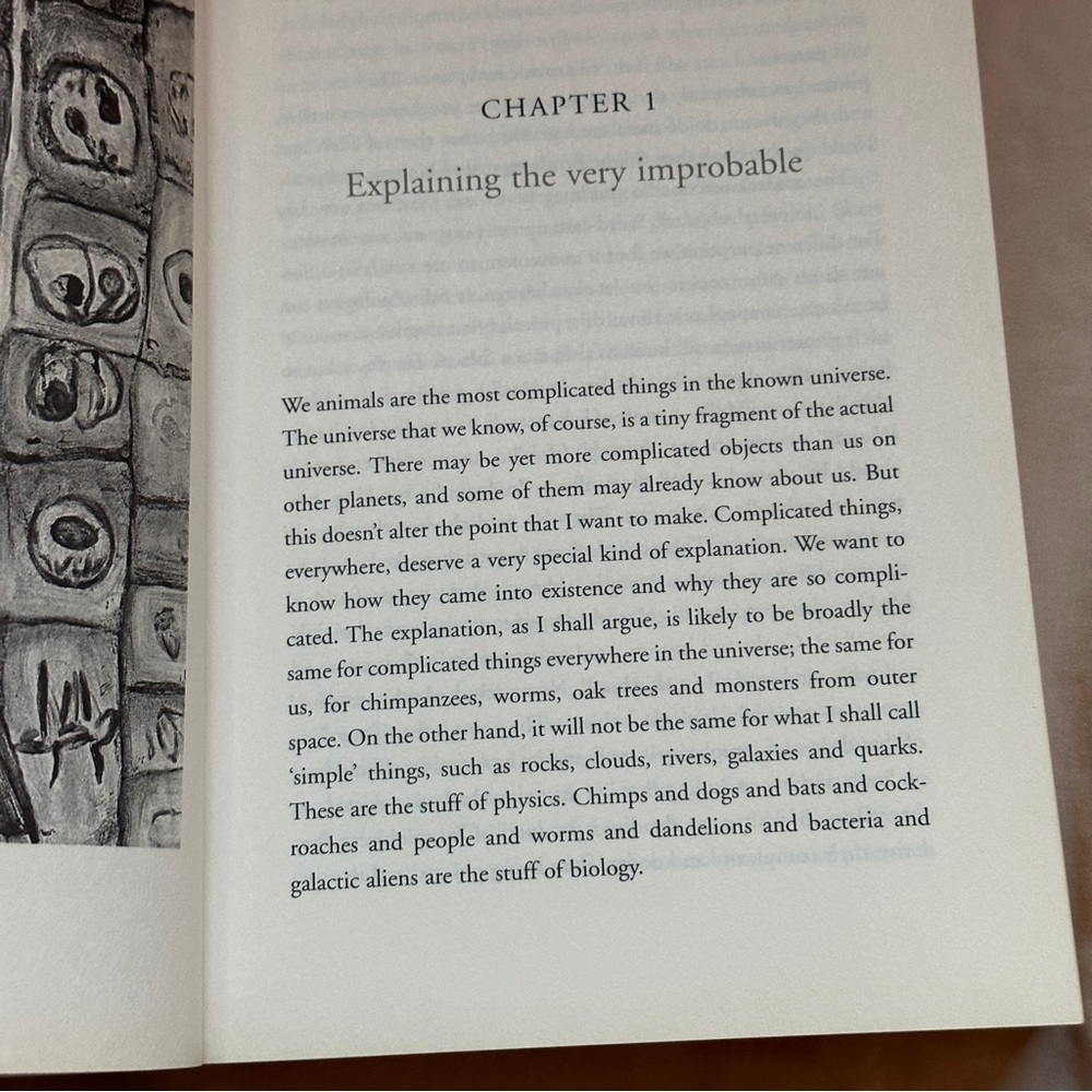 🟢  The Blind Watchmaker by Richard Dawkins | Science, Biology | Paperback Book - Picture 5 of 6